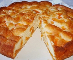 Mandarinen Kuchen