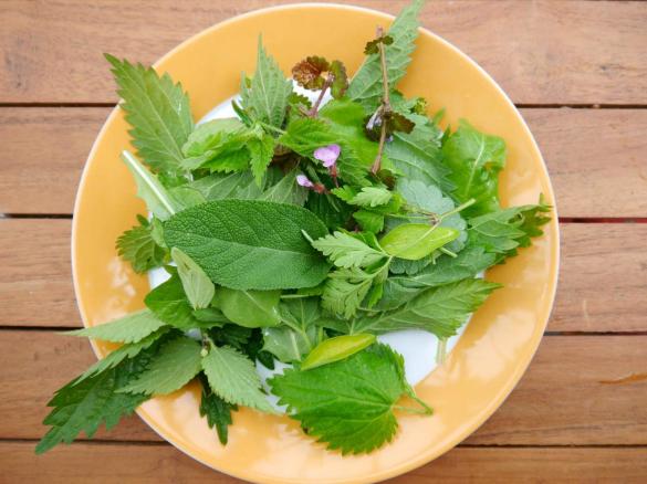 Wildkräuter Spätzle