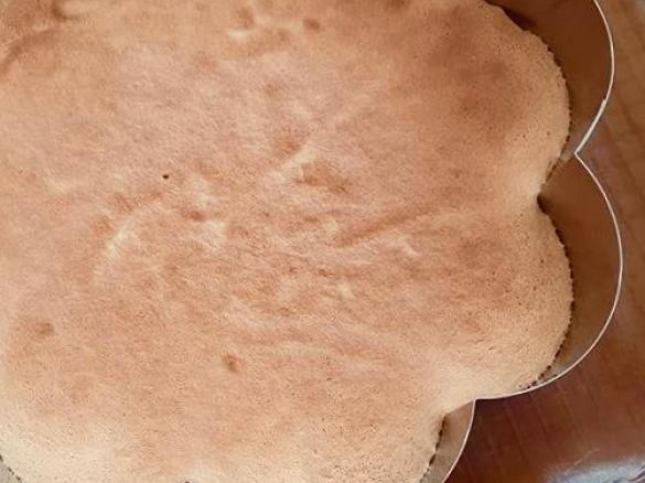 All-in Tortenboden (zum Teilen)