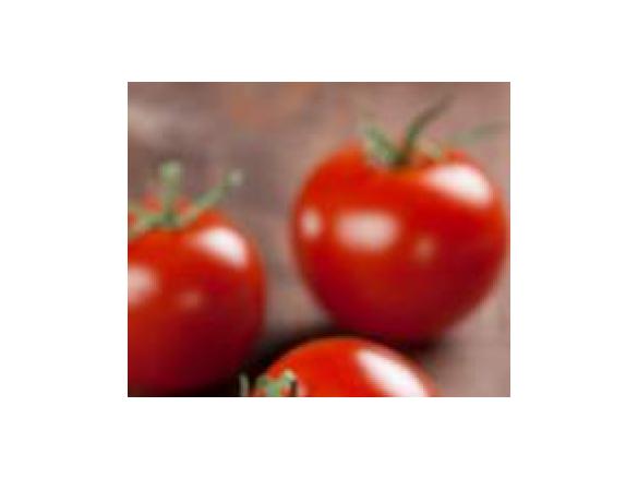 Tomaten-Kräuter-Sauce