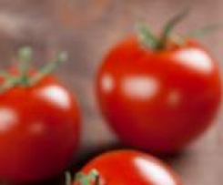 Tomaten-Kräuter-Sauce