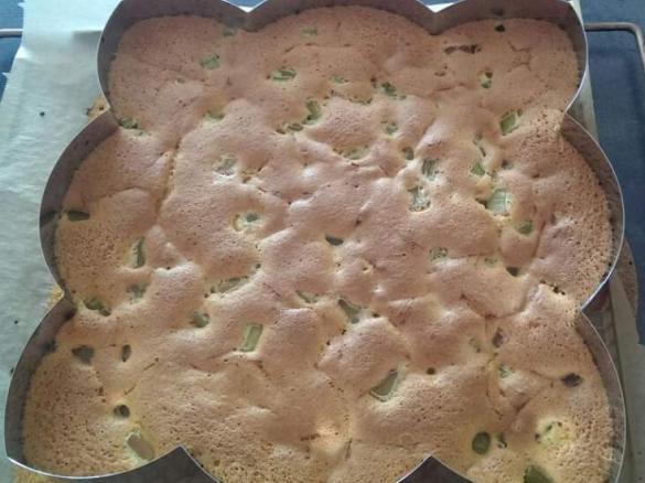 Variation von Matratzenkuchen mit Rhabarber