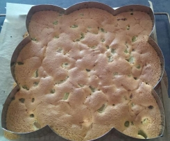 Variation von Matratzenkuchen mit Rhabarber