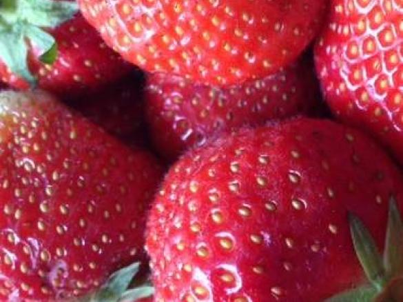 leichte Erdbeertorte