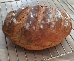 Weizen-Dinkel-Kruste