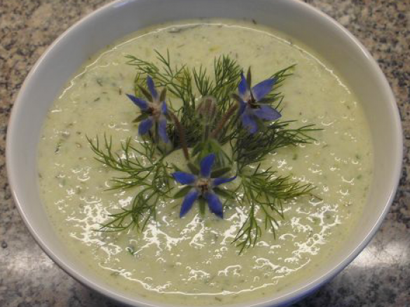 Gurken-Kaltschale - Bulgarische Gurkensuppe