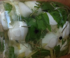 eingelegter Mozzarella