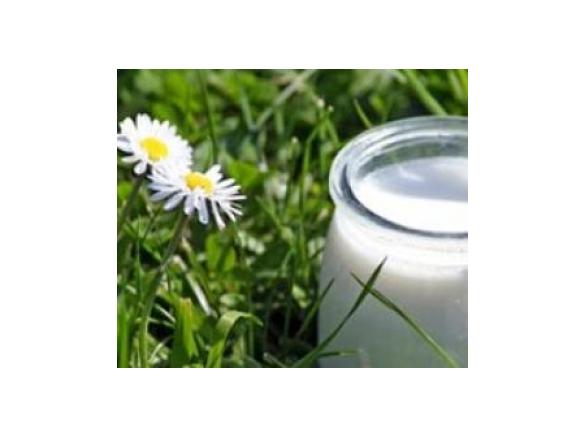 Frischkäse "à la Flammkuchen"