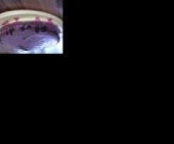 Brokkoli-Kartoffel-Brei mit Putenbrust