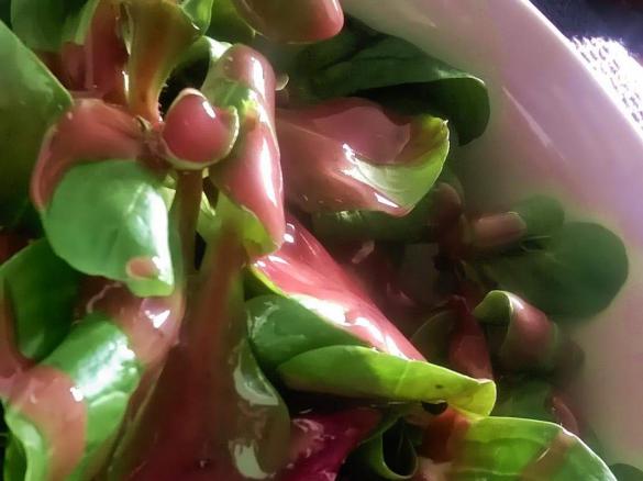 Himbeer-Dressing mit buntem Salat