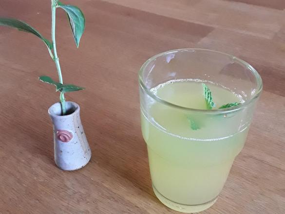 Zitrone-Minz-Limonade