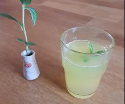 Zitrone-Minz-Limonade
