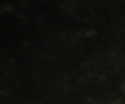 Lilly's Zitronenmuffins mit Frischkäse - Topping