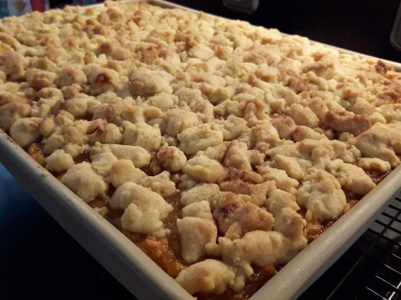 Apfelkuchen vom großen Ofenzauberer- schnell und saftig