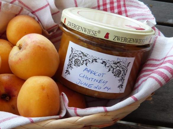 Aprikosen-Ingwer-Chutney
