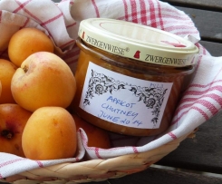 Aprikosen-Ingwer-Chutney