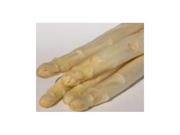 Bibis Spargelcremesuppe leicht