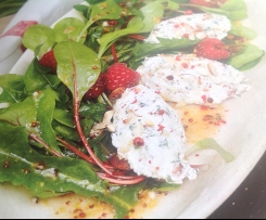 Frischkäse-Obazda auf Babyleaf-Salat