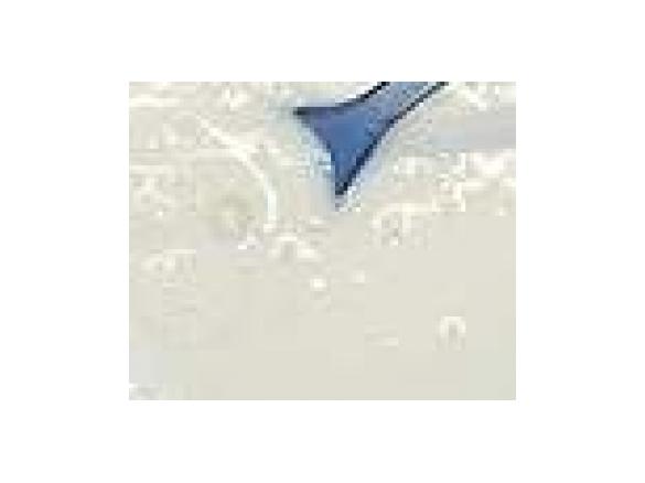 Beste Sylter Salatsoße