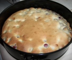  Weisser Schokokuchen 