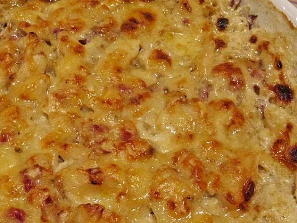 Pastinaken Fenchel Gratin