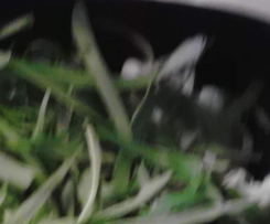 Blumenkohl - Bärlauch Gratin