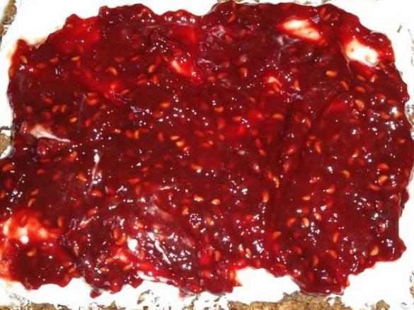 Himbeermarmelade mit Kokosblütenzucker und Agar Agar (SOS-konform)