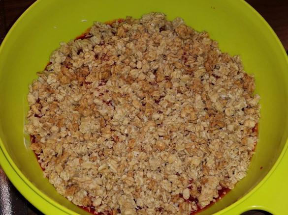 Vanille Creme mit Himmbeeren und Knuspermüsli