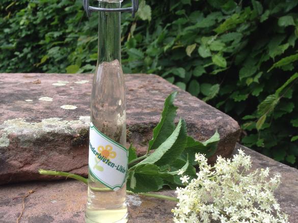 Holunderblüten-Likör / Holunderblüten-Sirup