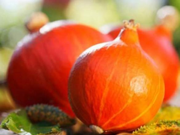 Exotische Kürbiscremesuppe mit Ingwer