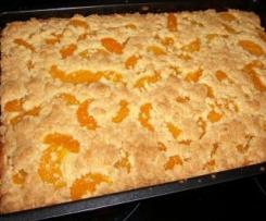Mandarinen Streuselkuchen