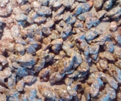 Gebrannte Kürbiskerne