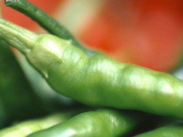 Asia-Pesto mit Thunfisch und Salat