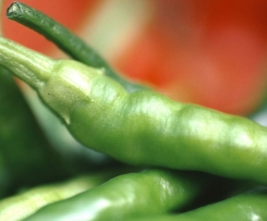 Asia-Pesto mit Thunfisch und Salat