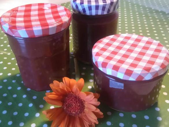 Rhabarber-Vanille-Marmelade