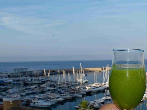 Grün, gesund, lecker!