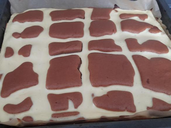 Gitter-Schoko-Käse-Kuchen