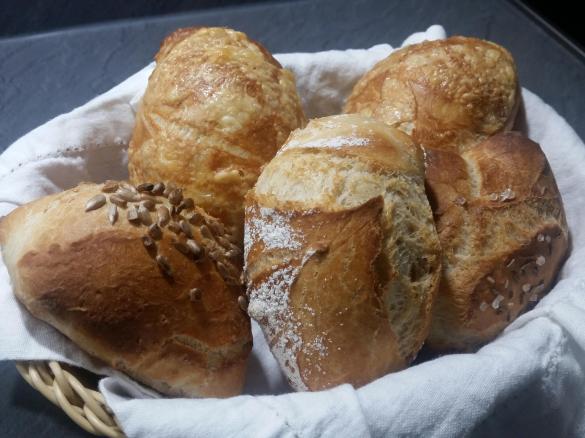 Dinkelbrötchen Bäckerbrötchen