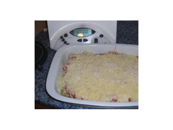 Variation von Cannelloni zweierlei gefüllt mit Tomaten- und Käsesoße