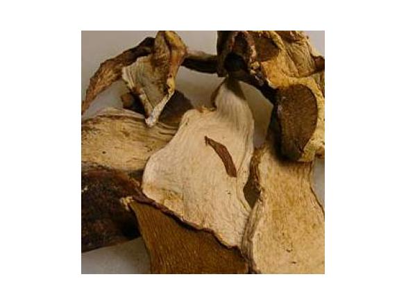 Pilzfüllung für Maultaschen,Tortelini oder Ravioli