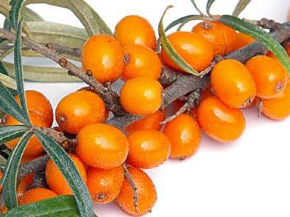 Sanddorn - Birnen Fruchtaufstrich mit Ingwer & Vanille