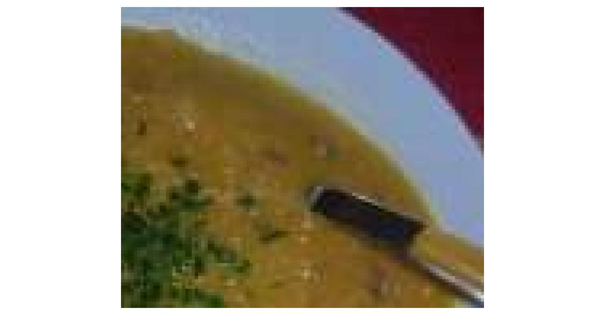 Sauerkrautsuppe super einfach von Trudiholz. Ein Thermomix® Rezept aus ...