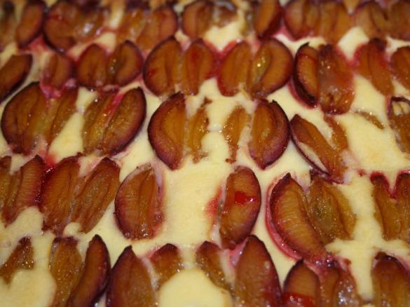 Zwetschgen-Quark-Kuchen