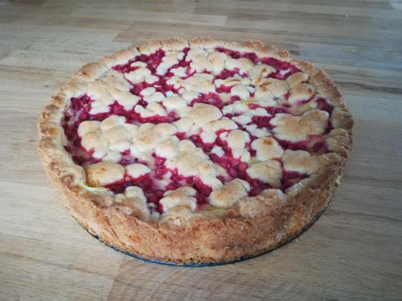 Rote Johannisbeere Pudding Kuchen