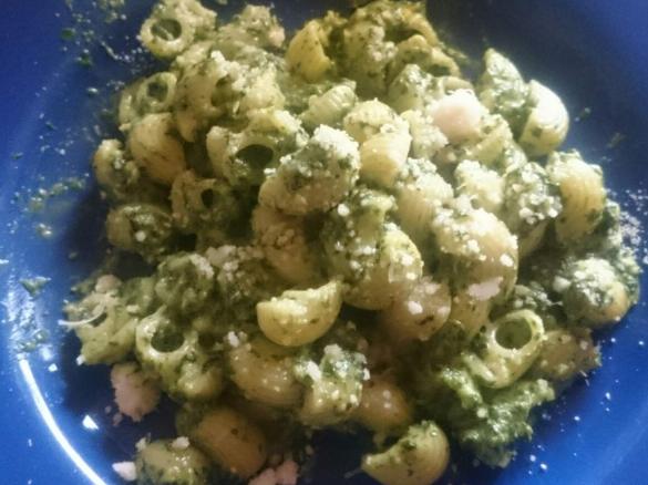 Frischei-Nudeln mit Spinat und Camembert