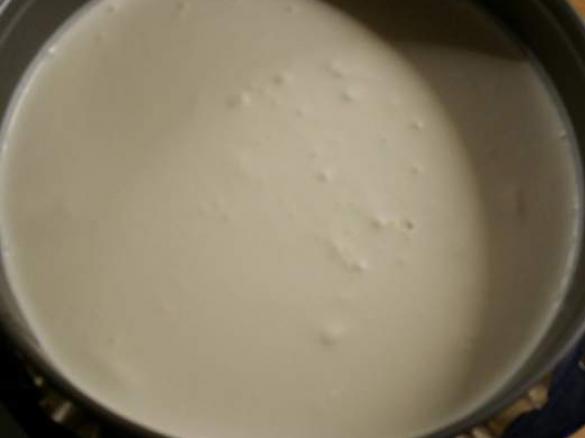 Blaubeer-Mascarpone-Torte