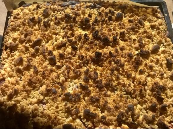 Pflaumen - Quark - Kuchen