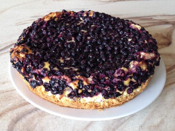 Blaubeer-Käse-Kuchen ( Quarkkuchen)