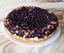 Blaubeer-Käse-Kuchen ( Quarkkuchen)