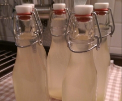 Ingwer Sirup "SUNDOWN" (im TM5)